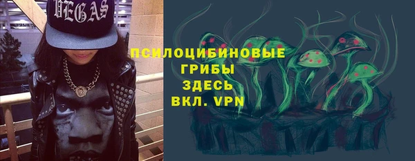 гашик Алексеевка