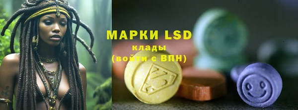гашик Алексеевка