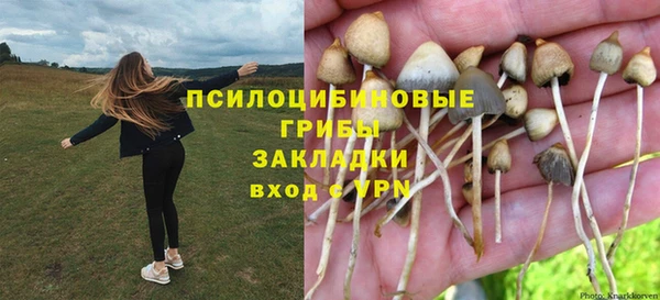 скорость Саяногорск