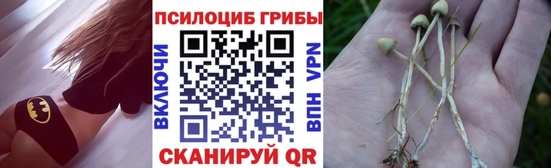 Галлюциногенные грибы прущие грибы  MEGA маркетплейс  Лебедянь 