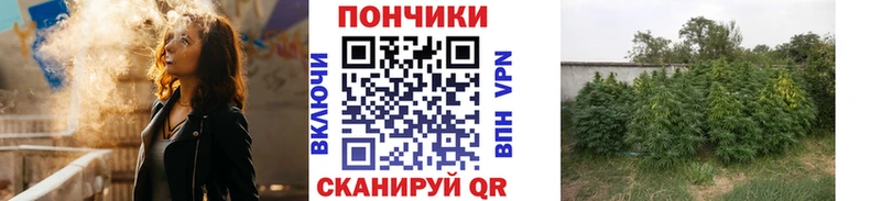 Конопля Bruce Banner  Лебедянь 